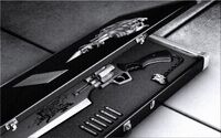 Case