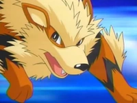 EP430 Arcanine (2)