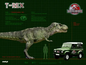 TREX WP 1024