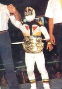 Mascarita Sagrada CMLL World Minis