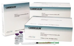Caninsulin syringes