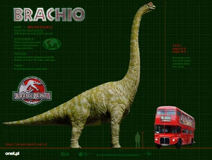 BRACHIO WP 1024