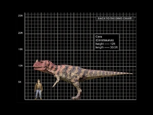 Ceratosaurus