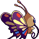 Beautifly espalda G4 variocolor