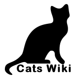Wiki.png