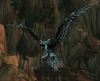 Fjord Crow