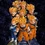 Supersaiyans