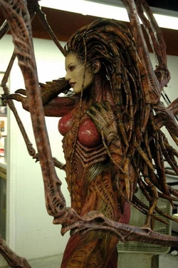 Kerrigan 15