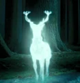 Patronus.jpg