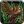 Inv shoulder 96