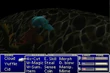 Sewer Tsunami