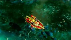 Stingray