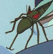 Makaiinsect