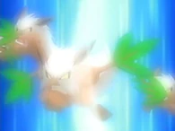 EP433 Shiftry usando viento cortante