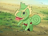EP433 Kecleon de Ángela