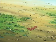 EP433 Kecleon invisible