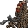 Item DeadEndCoaster 02