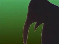 3264.shadowelephant.jpg