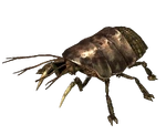 RadroachTactics