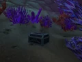 Pitted Iron Chest.jpg