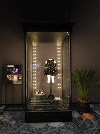 D23-Macy'sGlamorama