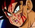 Bardock02