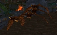 Amani Eagle