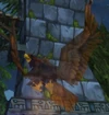 Amani Eagle Spirit