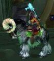 Black Ram.jpg