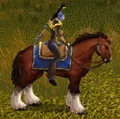 Chestnut mare.jpg
