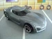 Stingray