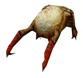 Headcrab model.jpg