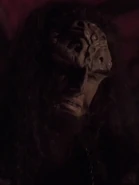 Kortar