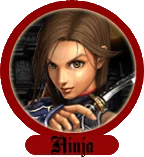 Icon ninja.gif