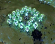AverageParagonDefence