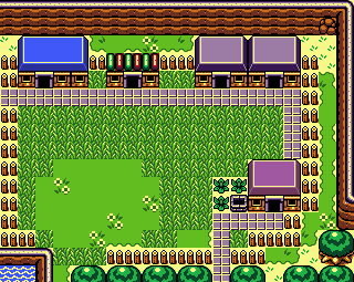 Animal Village
