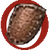 Icon schilde.gif