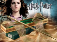 Hermione's Wand