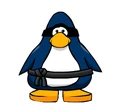 Swiss Ninja