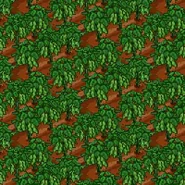 Fully Grown Soybeans