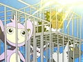 EP398 Pokémon en atrapados (3).png