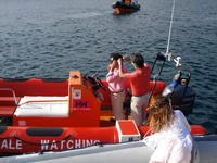 Travessia do Canal do Faial