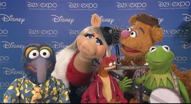 D23-closeup