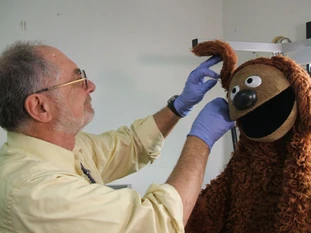 Howard clemenko rowlf