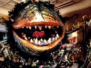 Audrey2