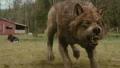 Pseudoblog newmoontrailer425c.jpg