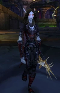 Image of Dark Ranger Anya