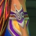 Arcanist Bindings.jpg
