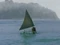 Canoé m.jpg