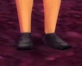 Calico Shoes.jpg